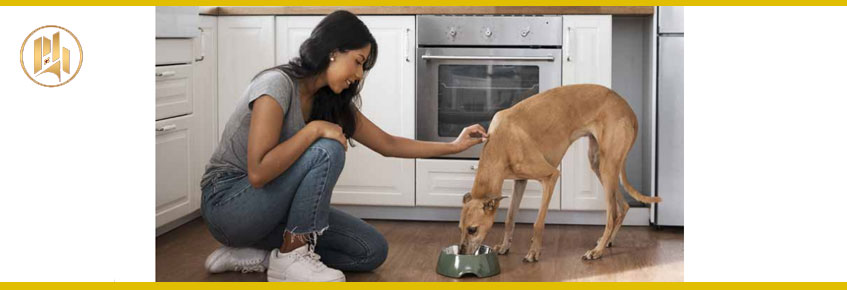 Las leyes en pro dela protección animal